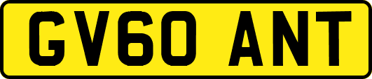 GV60ANT