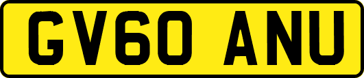 GV60ANU