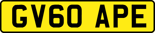 GV60APE