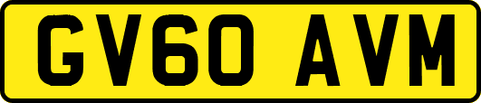 GV60AVM