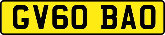 GV60BAO