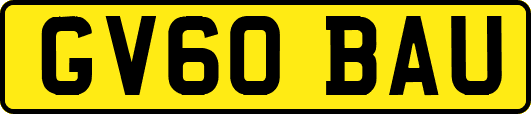GV60BAU