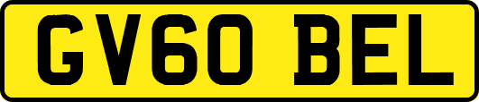 GV60BEL