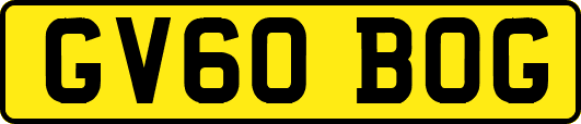 GV60BOG