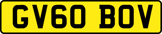 GV60BOV