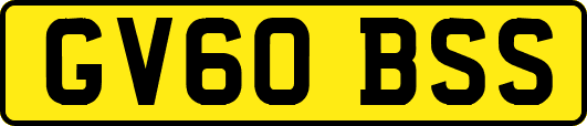 GV60BSS