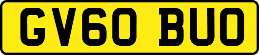 GV60BUO