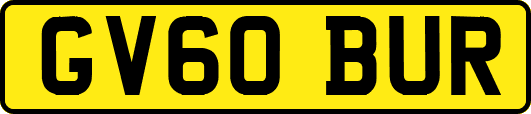 GV60BUR