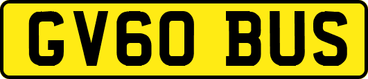 GV60BUS