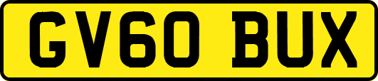 GV60BUX
