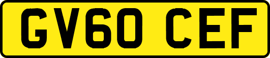 GV60CEF