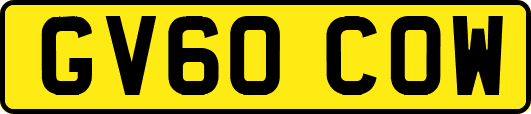 GV60COW