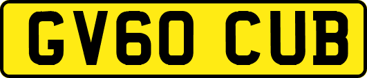GV60CUB