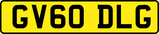 GV60DLG