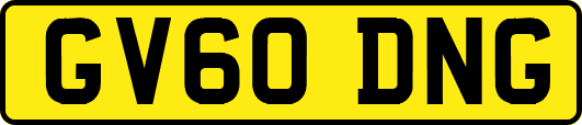 GV60DNG