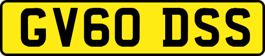 GV60DSS