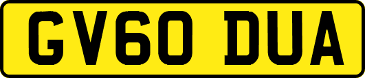 GV60DUA