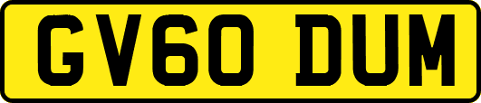 GV60DUM