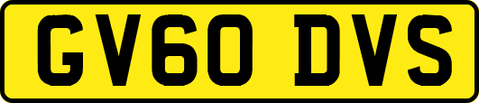 GV60DVS