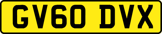 GV60DVX