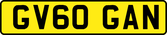 GV60GAN