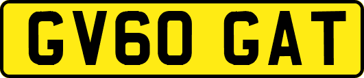 GV60GAT