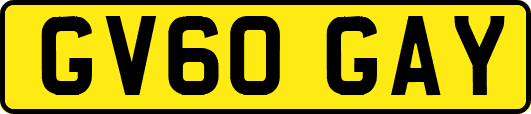 GV60GAY