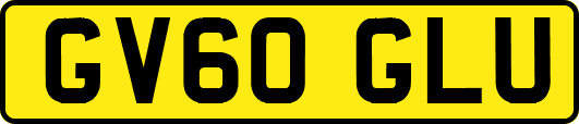 GV60GLU