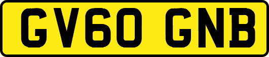 GV60GNB
