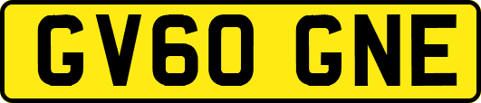 GV60GNE