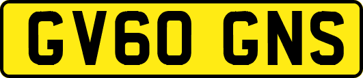 GV60GNS