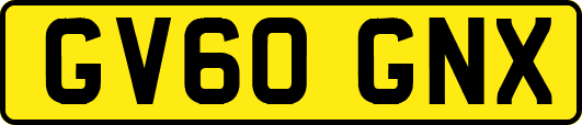 GV60GNX