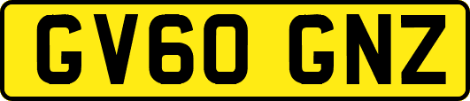GV60GNZ