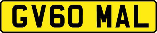 GV60MAL