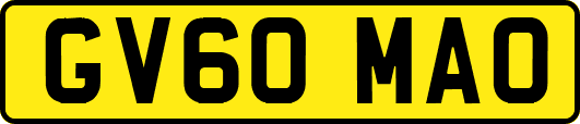 GV60MAO