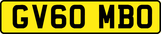 GV60MBO
