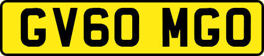 GV60MGO