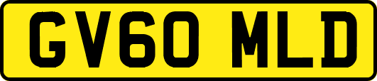 GV60MLD