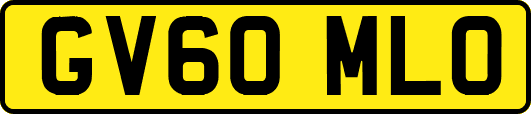 GV60MLO