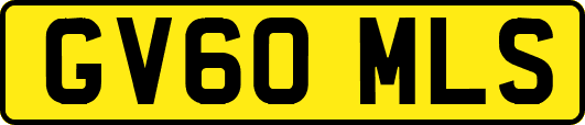GV60MLS
