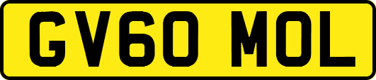 GV60MOL