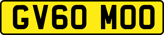 GV60MOO