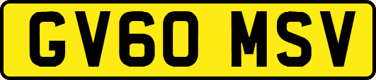 GV60MSV