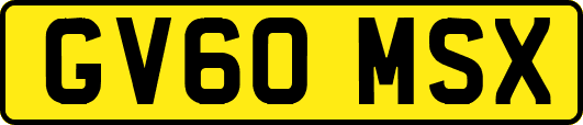 GV60MSX