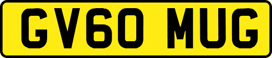 GV60MUG