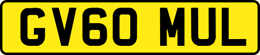 GV60MUL