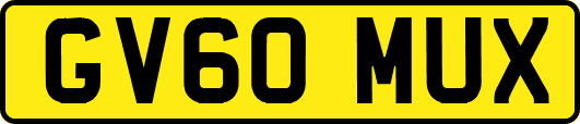GV60MUX