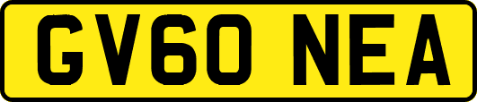 GV60NEA