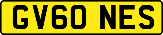 GV60NES