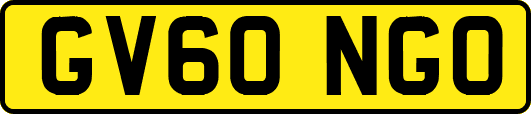 GV60NGO